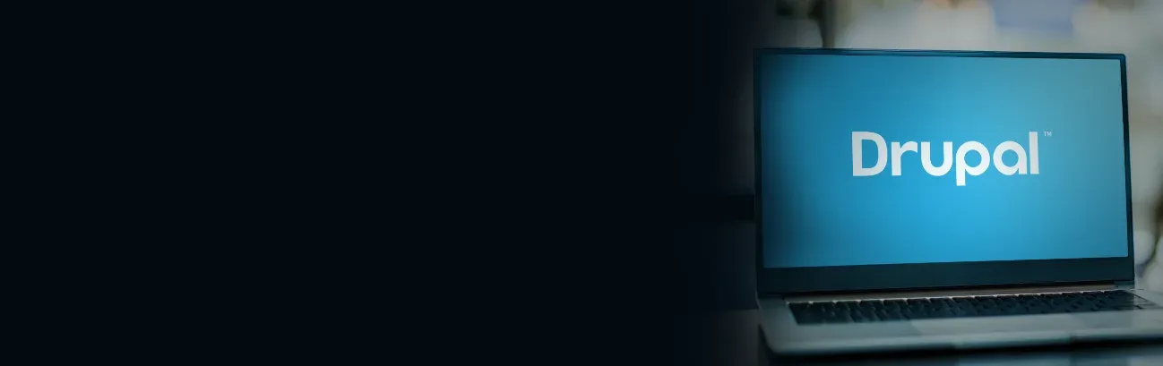 Drupal Managed Services Banner