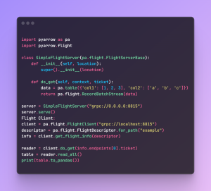 Arrow Flight Code Snippet
