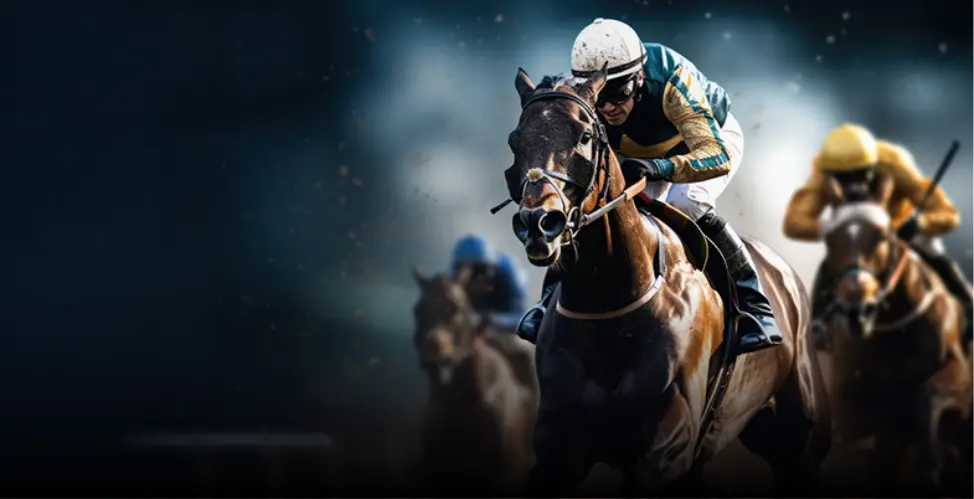 Leading wagering and media organization